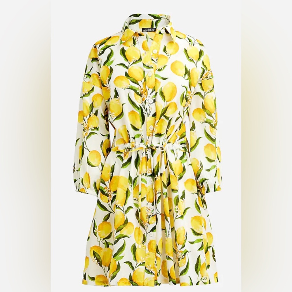 J. Crew Lemon Print Mini Dress in Yellow and Green - Picture 4 of 5